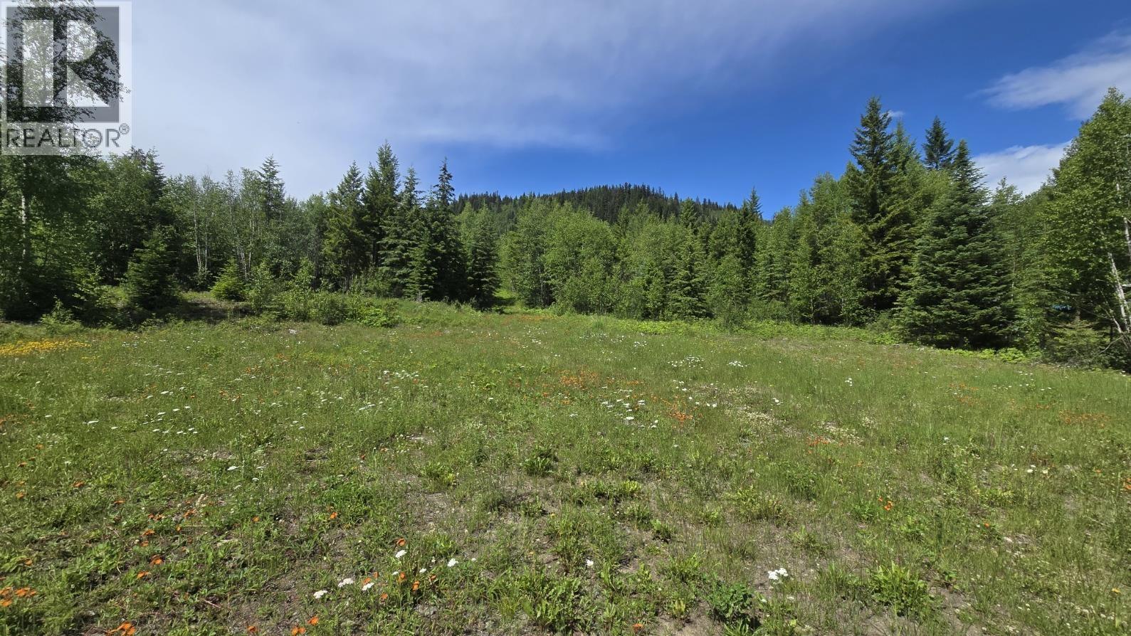2676 Eagle Creek Road, Canim Lake, British Columbia  V0K 1L0 - Photo 4 - R3137494