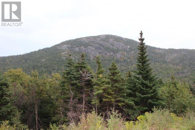 235-241 Beachy Cove Road, Portugal Cove-St. Philip's, Newfoundland & Labrador  A1M 1Z4 - Photo 8 - 1299076