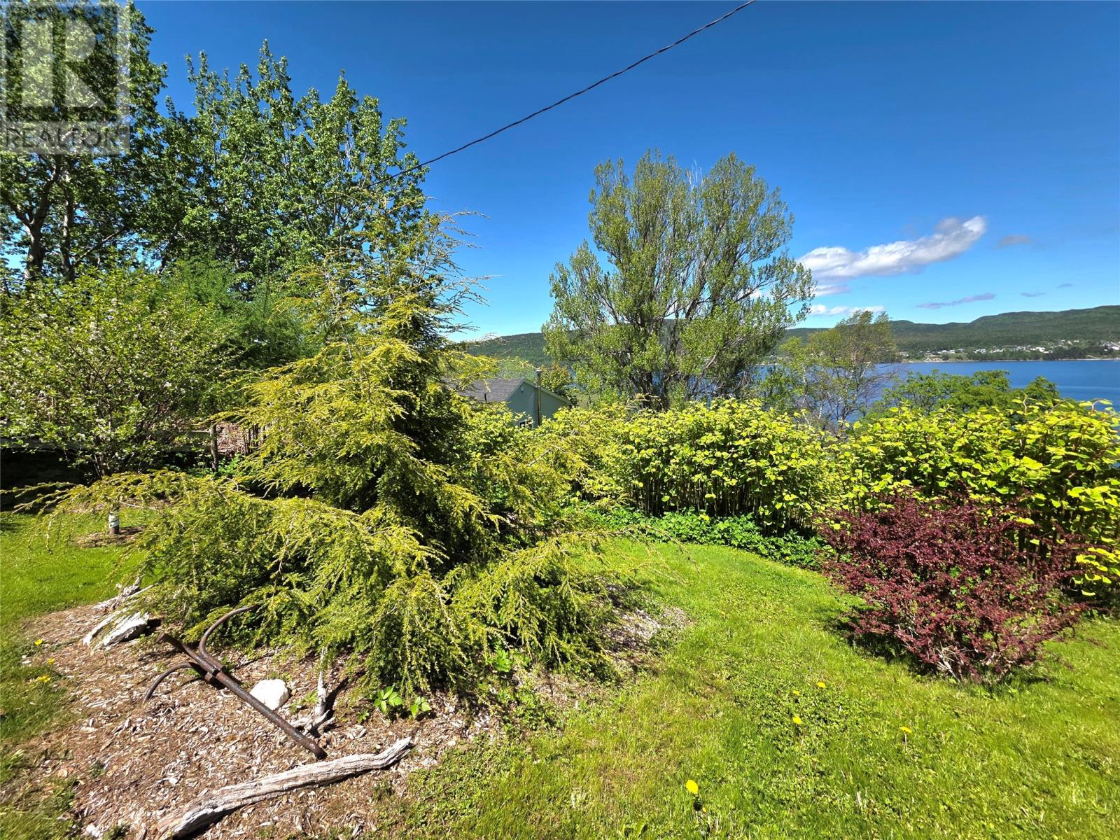 125 Humber Road, Corner Brook, Newfoundland & Labrador  A2H 1G4 - Photo 33 - 1299197