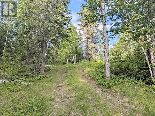 2156 Mavis Lake Rd, Dryden, Ontario  P8N 0A2 - Photo 20 - TB2601583