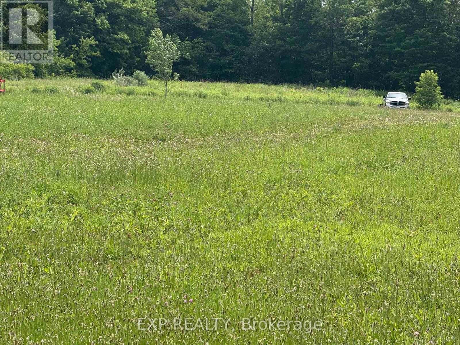 3345 Gore Road, Thames Centre, Ontario  N0L 1G4 - Photo 4 - X13462816
