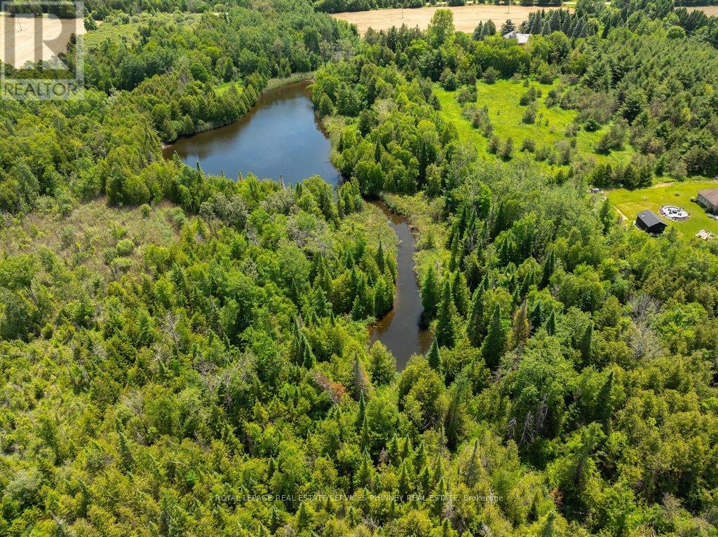 19555 Shaws Creek Road, Caledon, Ontario  L7K 1L5 - Photo 49 - W13457850