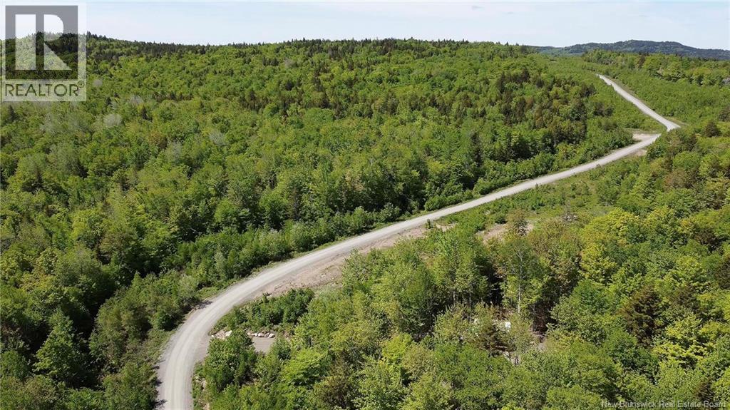 Lot 25 Misty Mountain Lane, Elmsville, New Brunswick  E5C 0E5 - Photo 16 - NB142265