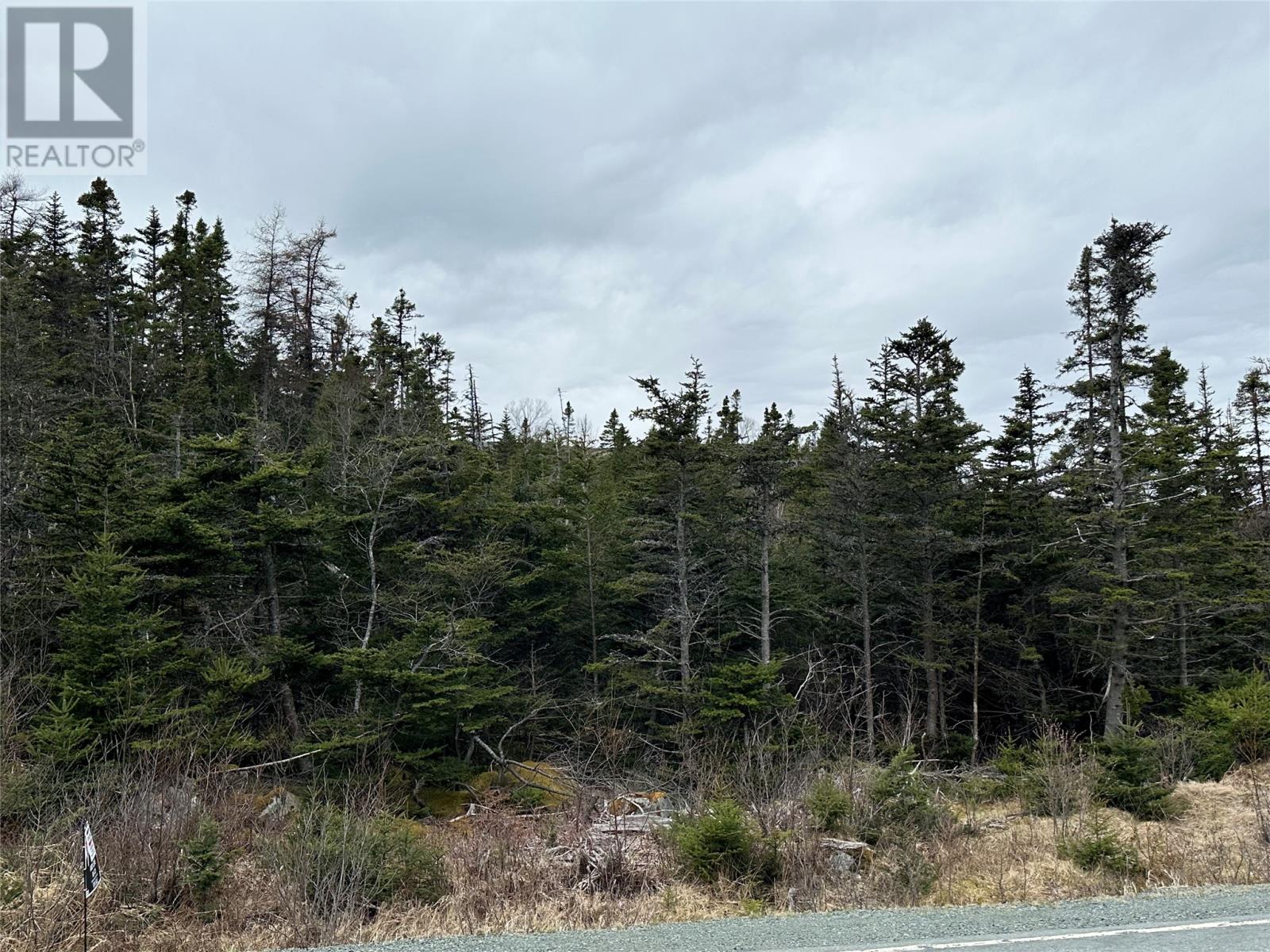 108 Liam Hickey Drive, Holyrood, Newfoundland & Labrador  A0A 2R0 - Photo 5 - 1299195