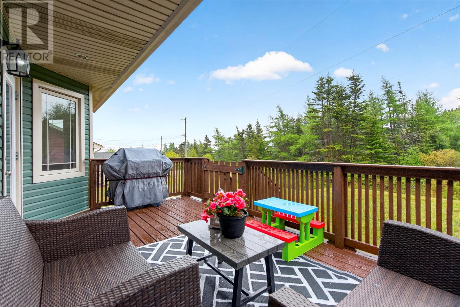72 Badcock Boulevard, Bay Roberts, Newfoundland & Labrador  A0A 1G0 - Photo 46 - 1299137