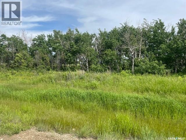 Lot 6 Viceroy Road, North Battleford Rm No. 437, Saskatchewan  S9A 0S6 - Photo 1 - SK039959