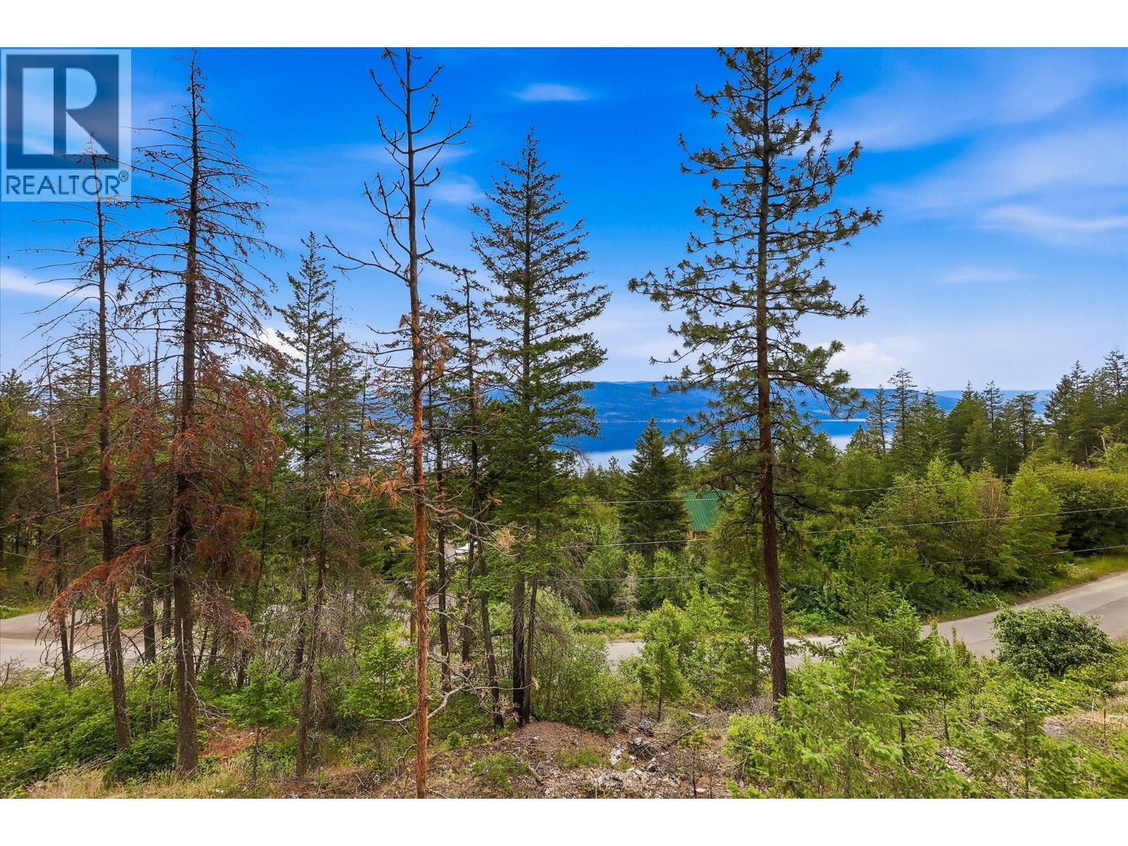 9432 Winchester Road Lot# 43, Fintry, British Columbia  V1H 2E2 - Photo 6 - 10390053