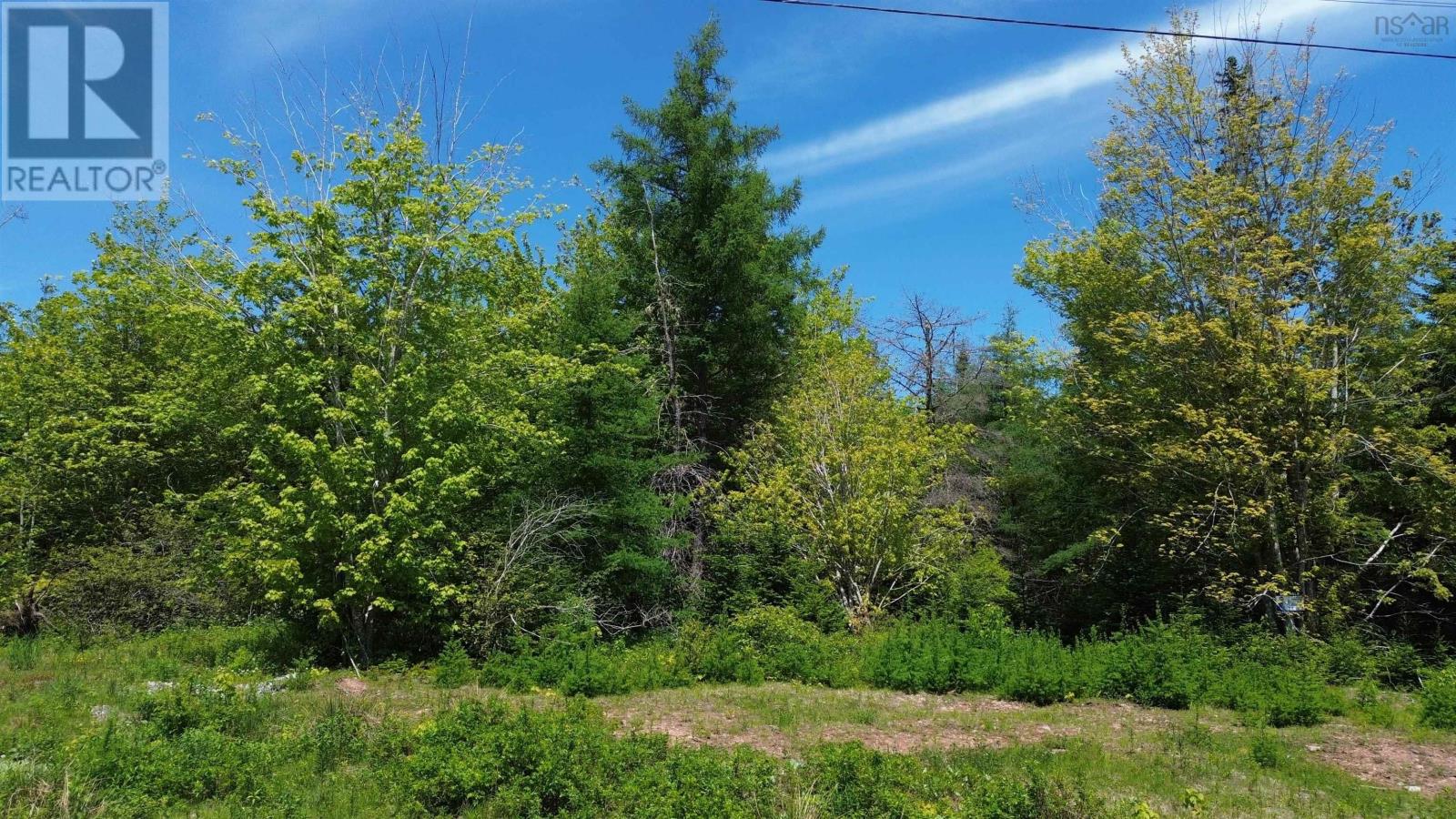 Lot 11 Lower River Road, Grantville, Grantville, Nova Scotia  B0E 1J0 - Photo 5 - 202600276