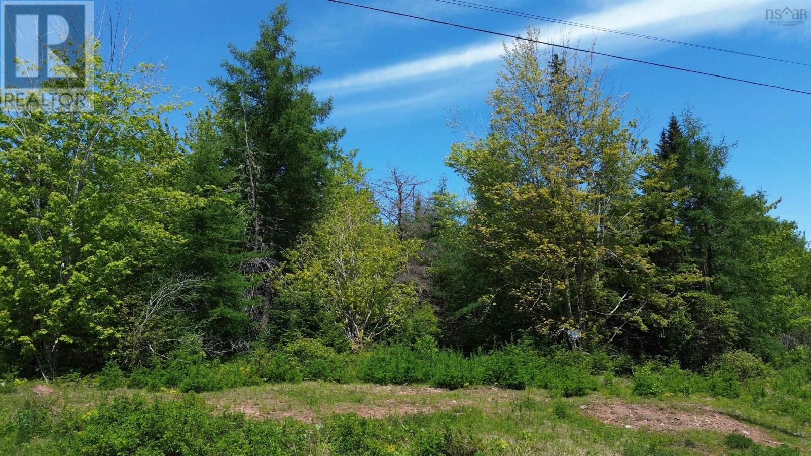 Lot 11 Lower River Road, Grantville, Grantville, Nova Scotia  B0E 1J0 - Photo 3 - 202600276