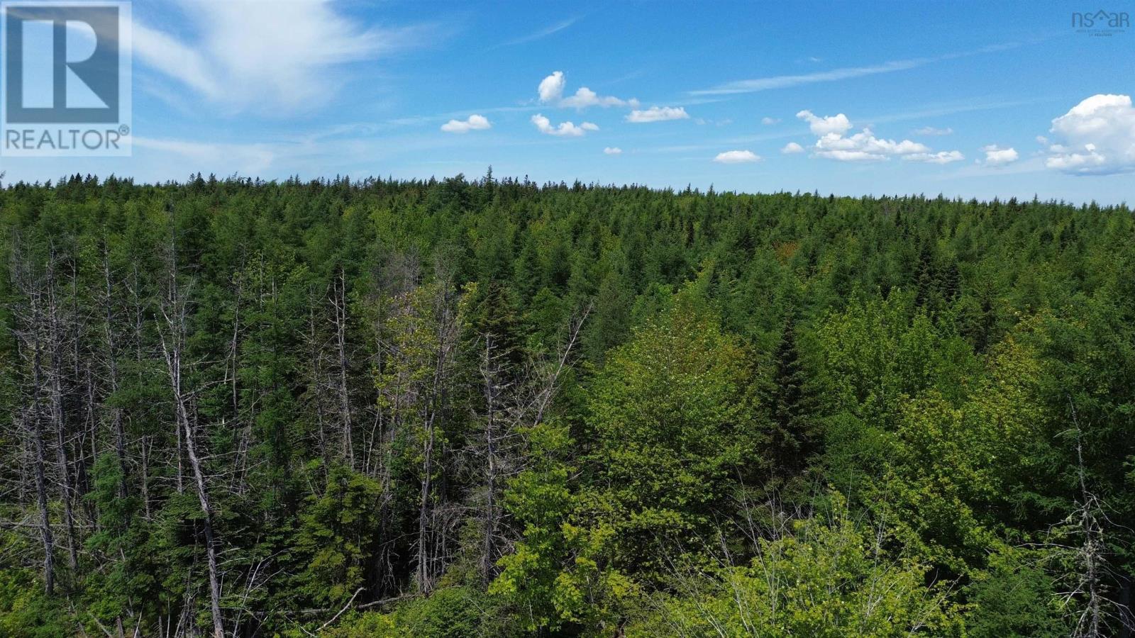 Lot 11 Lower River Road, Grantville, Grantville, Nova Scotia  B0E 1J0 - Photo 1 - 202600276