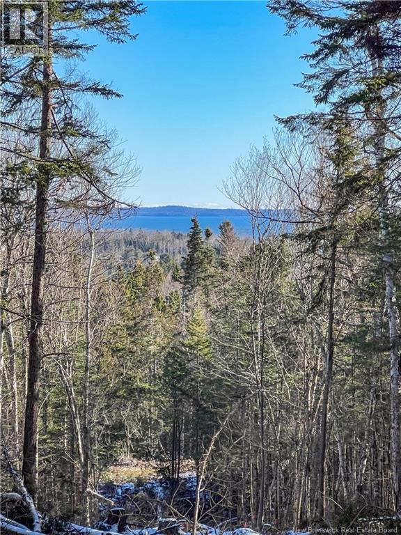 Land Chamcook Lake No. 1 Road, Chamcook, New Brunswick  E5B 2Z4 - Photo 3 - NB132987