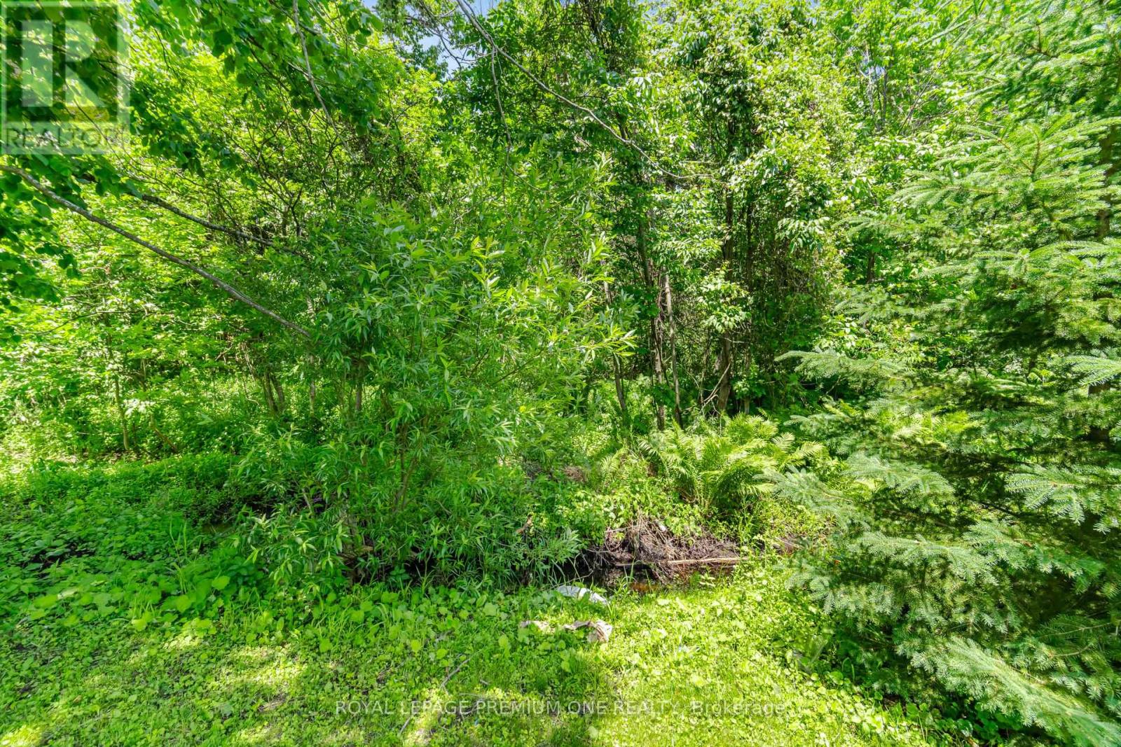 710 Rose Lane, Innisfil, Ontario  L9S 2H4 - Photo 43 - N13463342