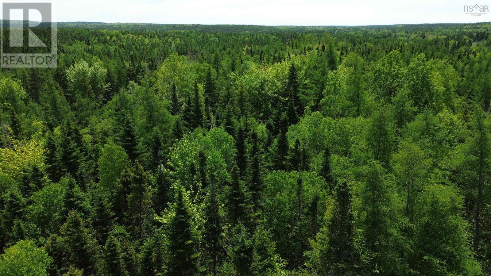 Lot 23 Lower River Road, Grantville, Grantville, Nova Scotia B0E 1J0 - Photo 2 - 202607939