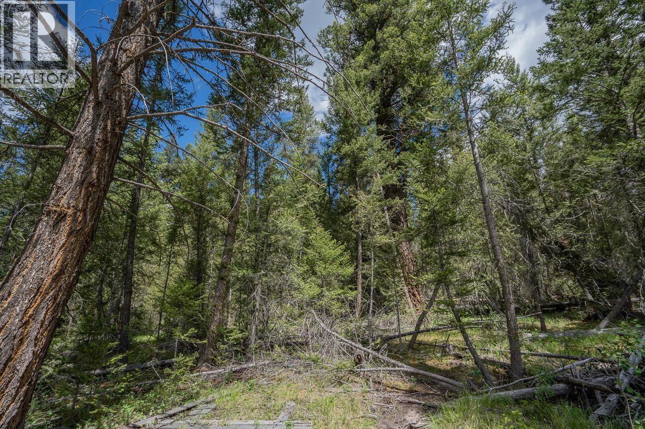 6719 Fawn Creek Road, Lone Butte, British Columbia  V0K 1X3 - Photo 13 - R3137583