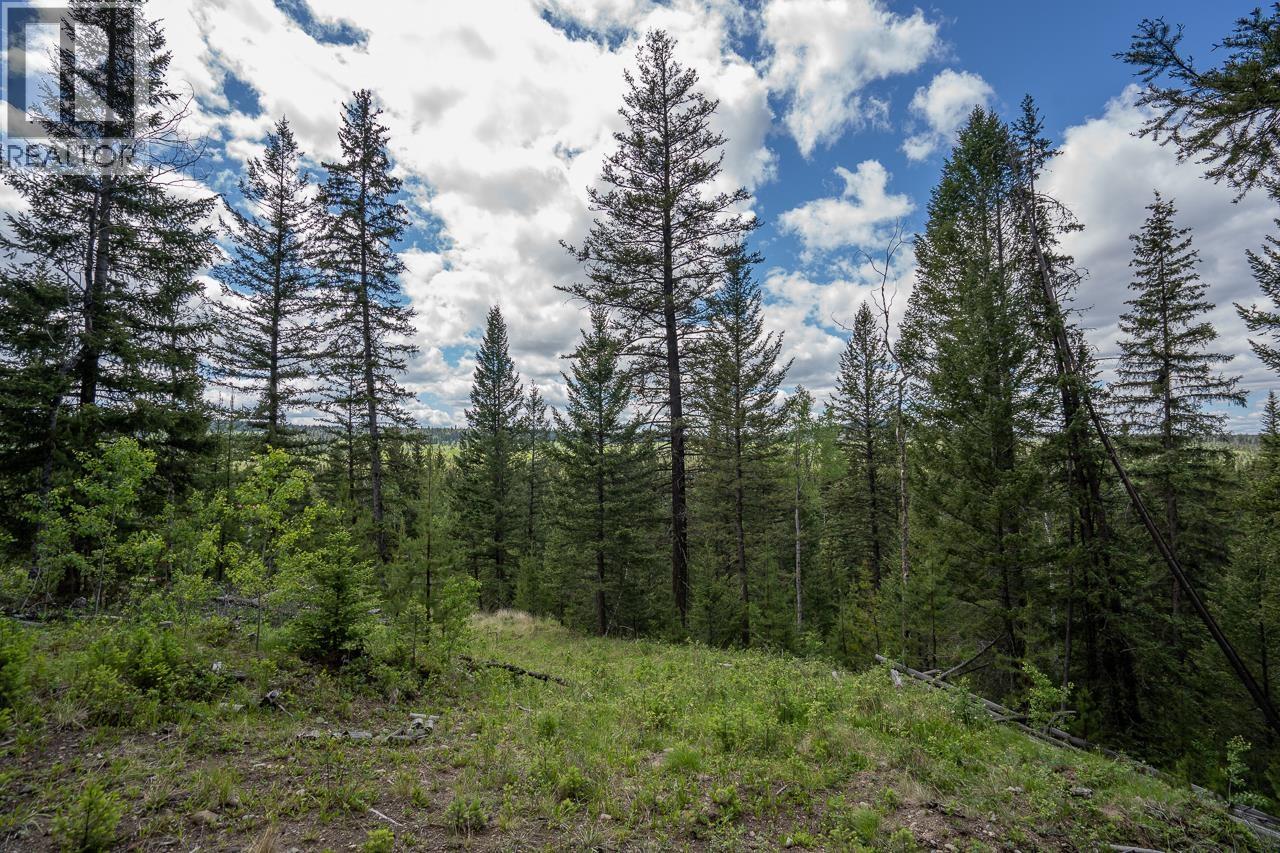 6719 Fawn Creek Road, Lone Butte, British Columbia  V0K 1X3 - Photo 19 - R3137583