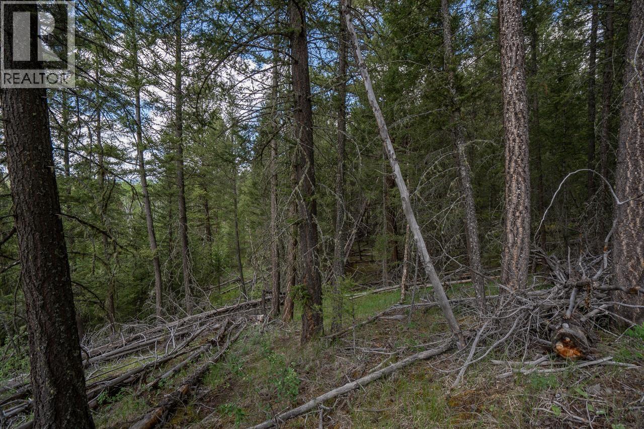 6719 Fawn Creek Road, Lone Butte, British Columbia  V0K 1X3 - Photo 20 - R3137583