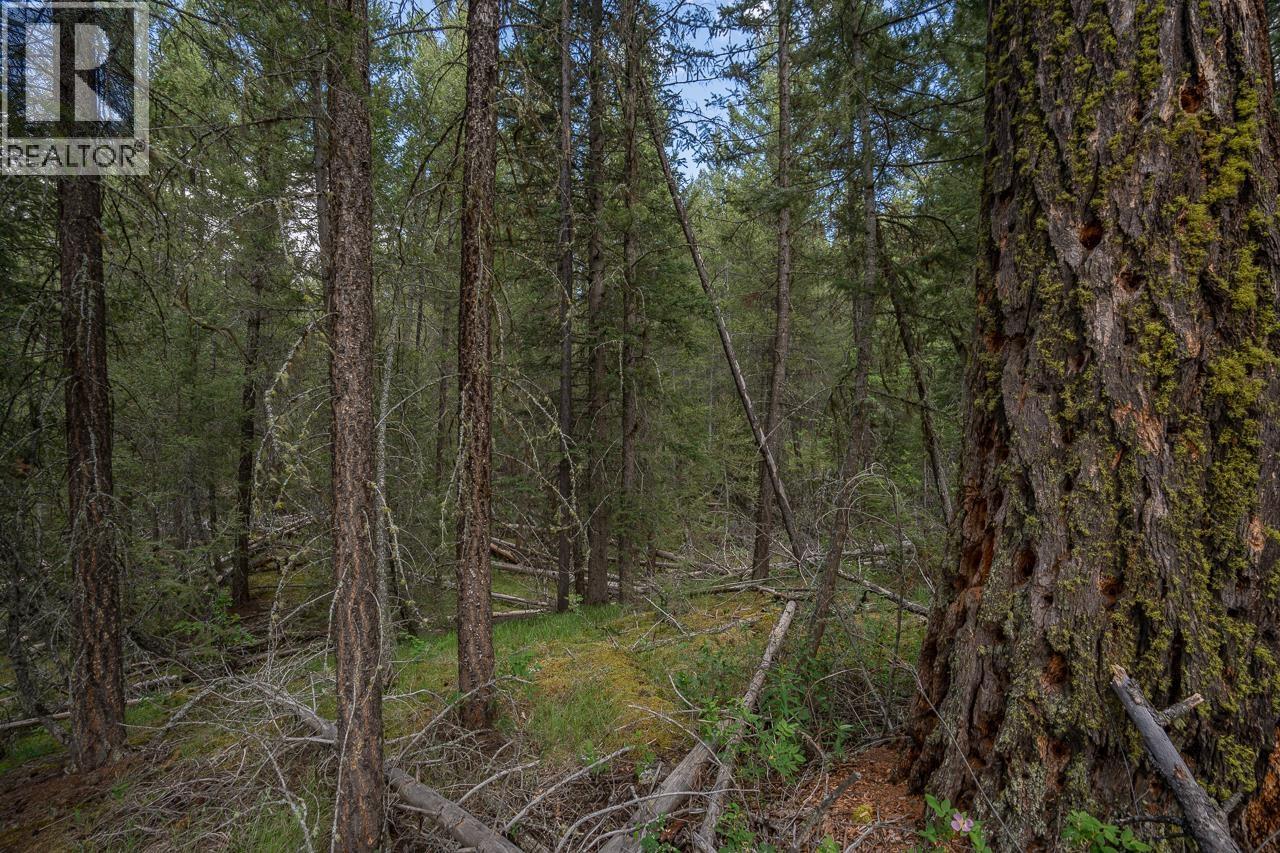 6719 Fawn Creek Road, Lone Butte, British Columbia  V0K 1X3 - Photo 21 - R3137583