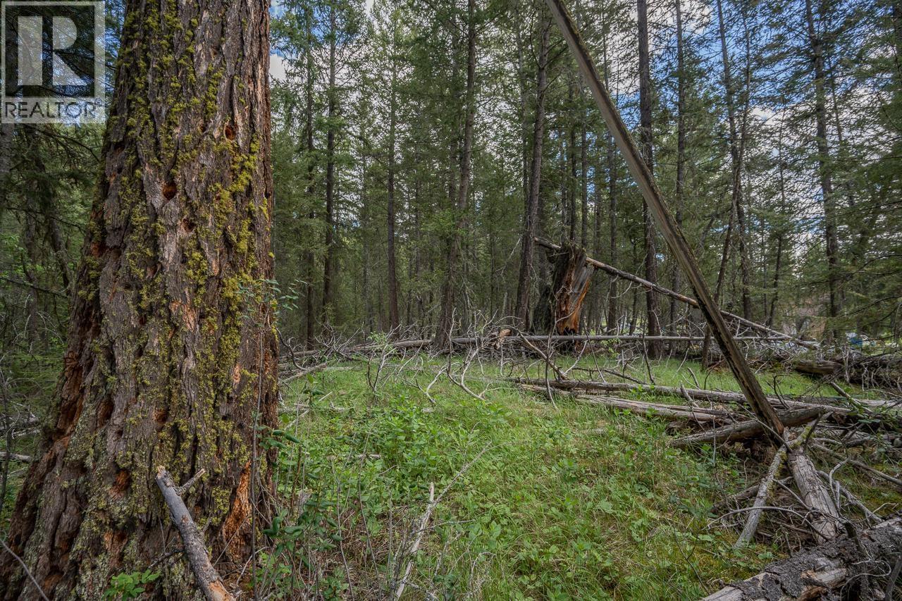 6719 Fawn Creek Road, Lone Butte, British Columbia  V0K 1X3 - Photo 22 - R3137583