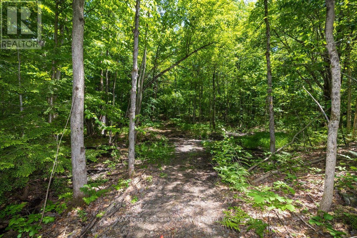 28 Clerks Road, Georgian Bay (Freeman), Ontario  P0C 1H0 - Photo 41 - X13463442