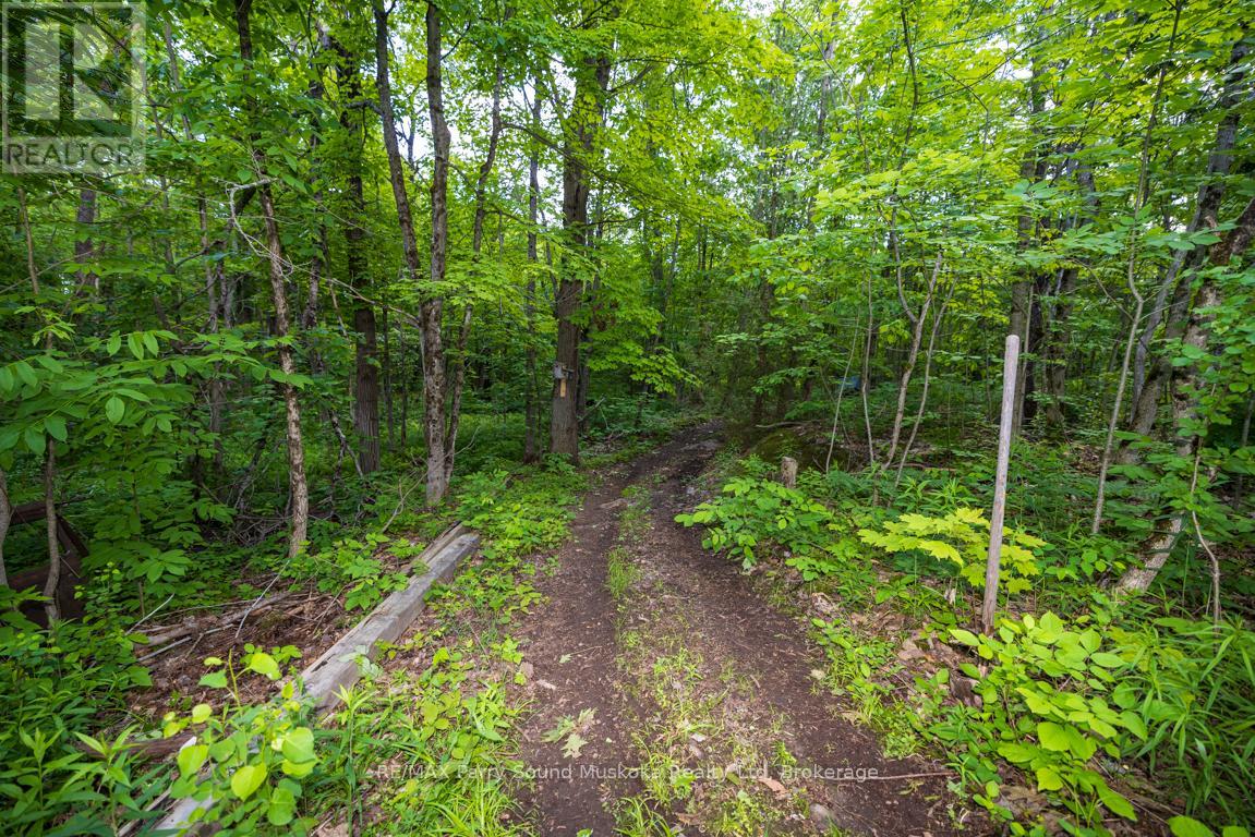 28 Clerks Road, Georgian Bay (Freeman), Ontario  P0C 1H0 - Photo 42 - X13463442
