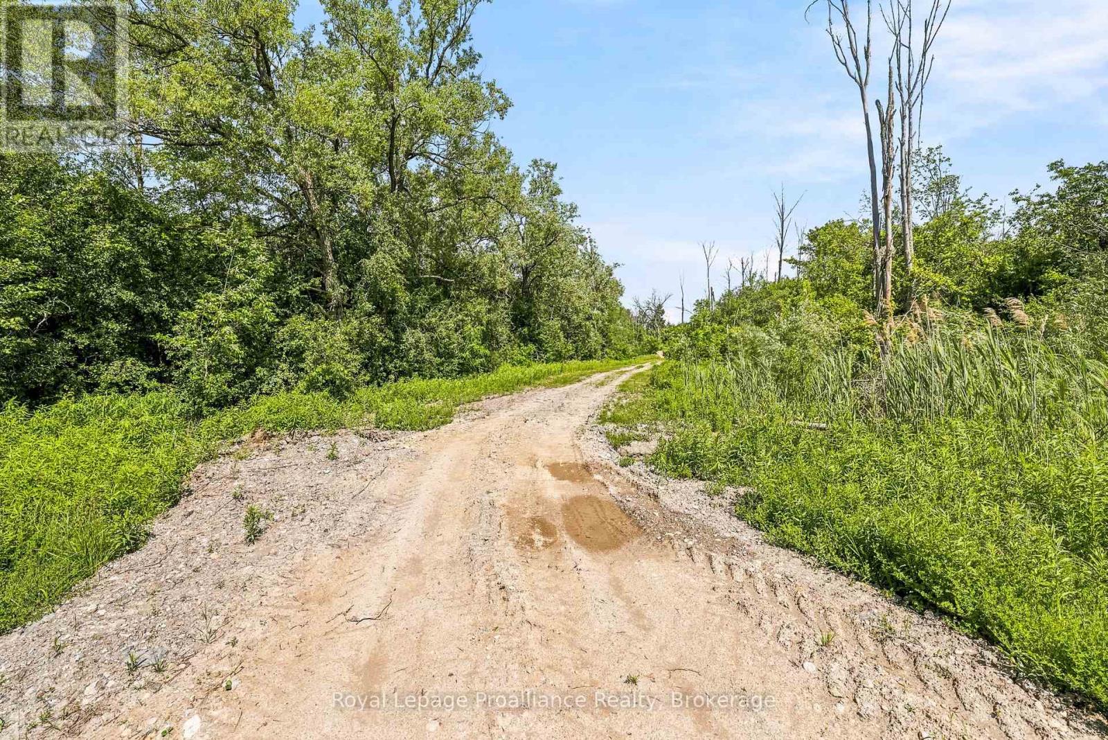 00 Bickle Hill Road, Hamilton Township, Ontario  K9A 4J7 - Photo 22 - X13463606