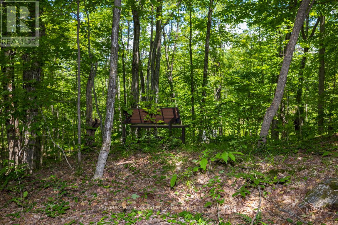28 Clerks Road, Georgian Bay (Freeman), Ontario  P0C 1H0 - Photo 43 - X13463442