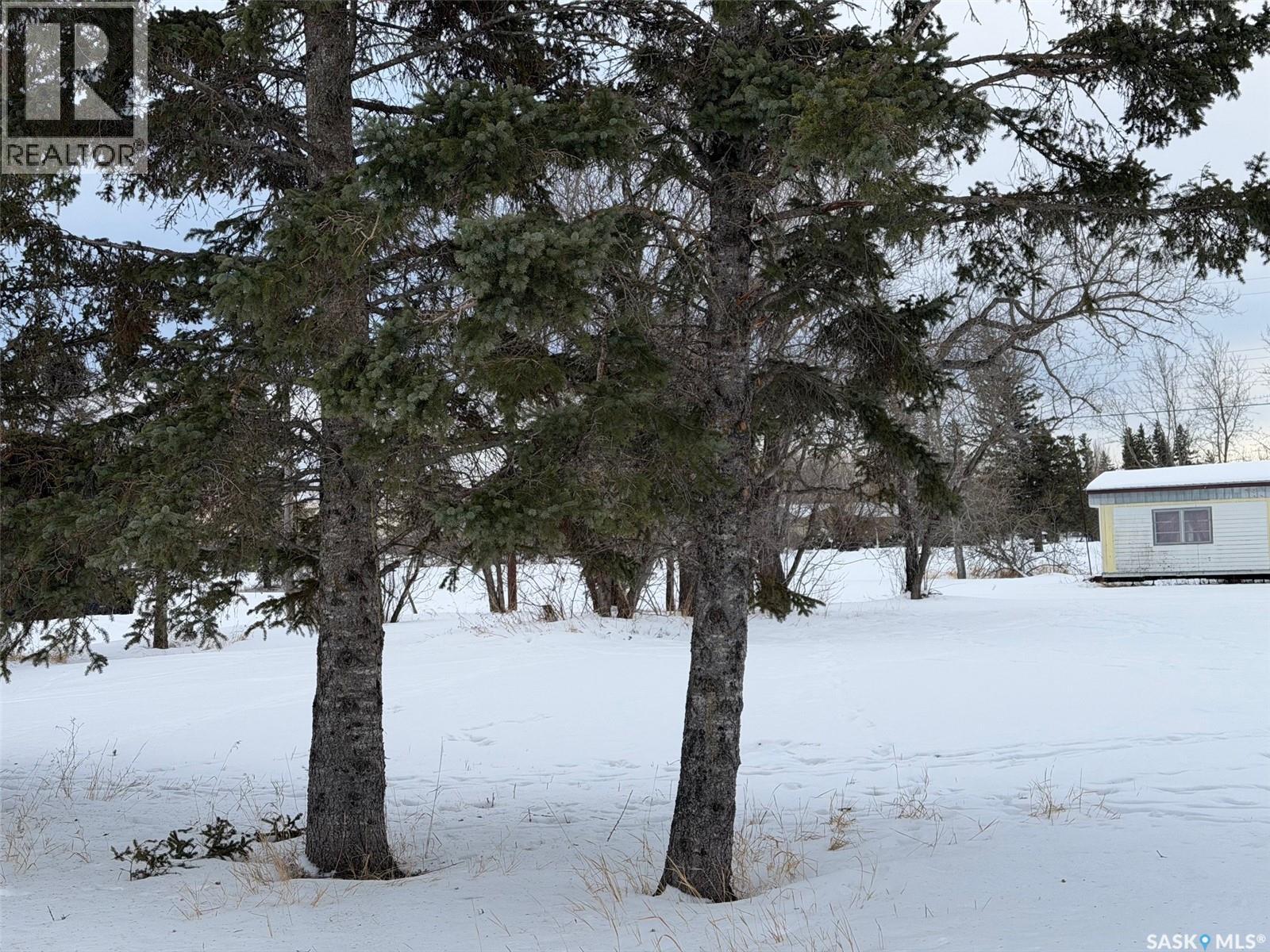 Currie Lots, Hudson Bay Rm No. 394, Saskatchewan  S0E 0Y0 - Photo 6 - SK031090