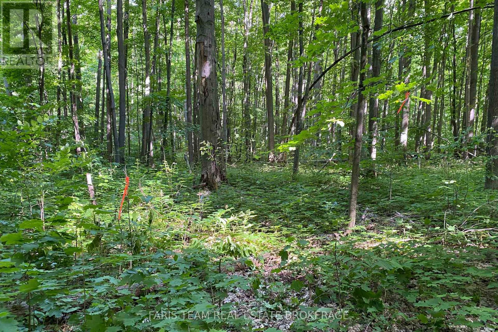 418 Concession 13 Road E, Tiny, Ontario  L9M 2H7 - Photo 13 - S13463530