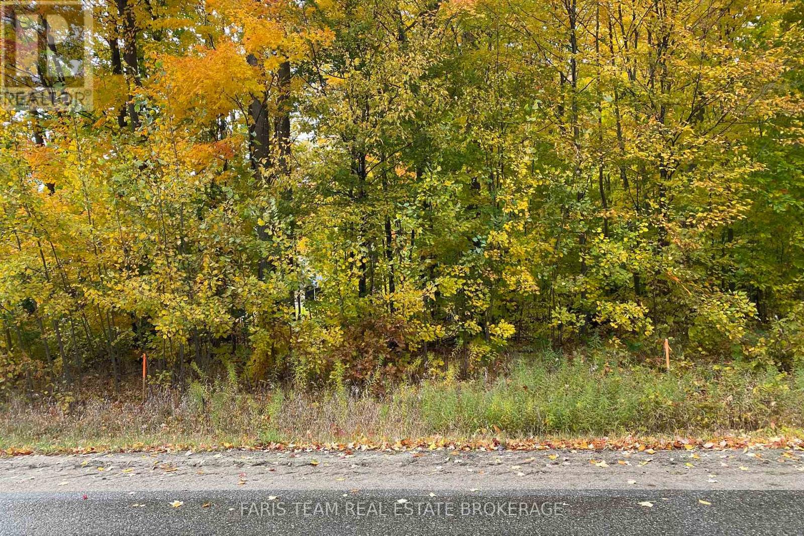 418 Concession 13 Road E, Tiny, Ontario  L9M 2H7 - Photo 15 - S13463530