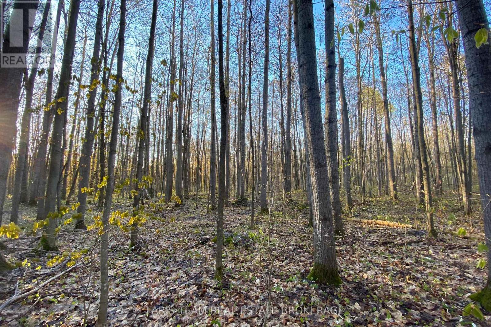 418 Concession 13 Road E, Tiny, Ontario  L9M 2H7 - Photo 16 - S13463530