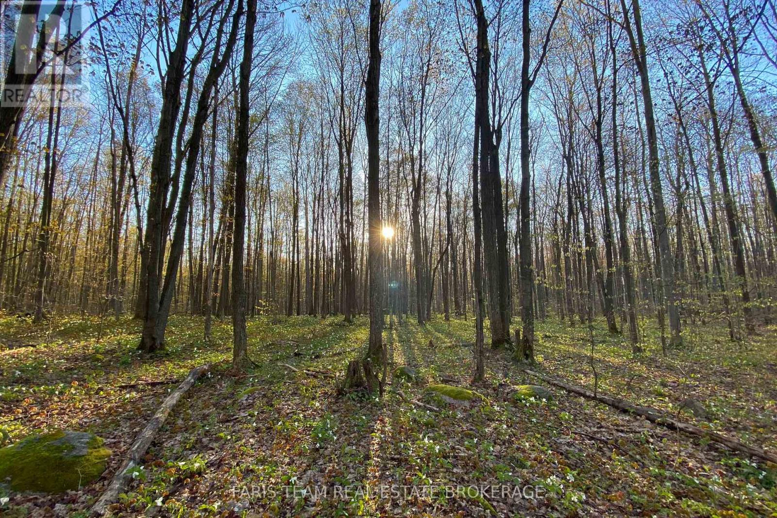 418 Concession 13 Road E, Tiny, Ontario  L9M 2H7 - Photo 17 - S13463530
