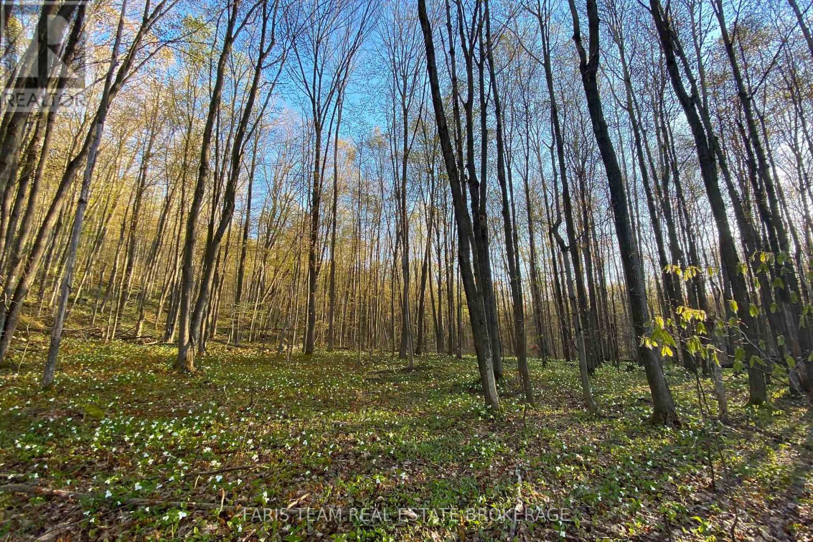 418 Concession 13 Road E, Tiny, Ontario  L9M 2H7 - Photo 18 - S13463530