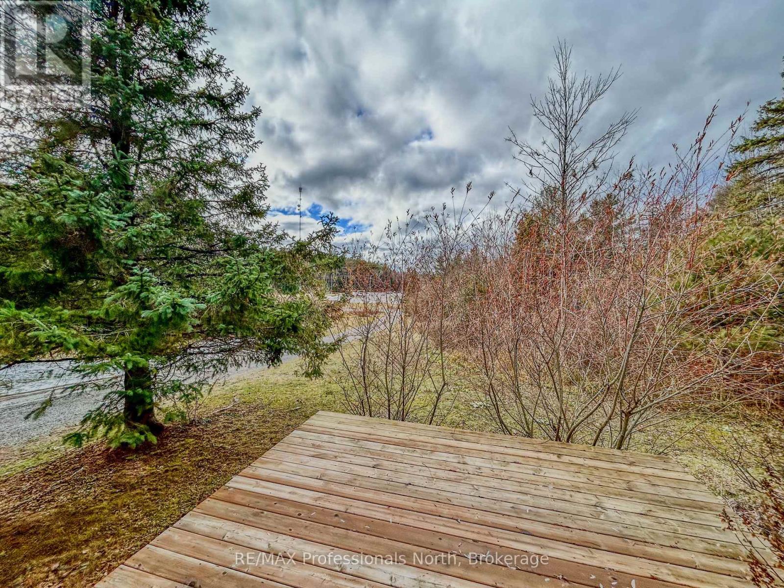 89 Jack Lake Road, North Kawartha, Ontario  K0L 1A0 - Photo 25 - X12571634