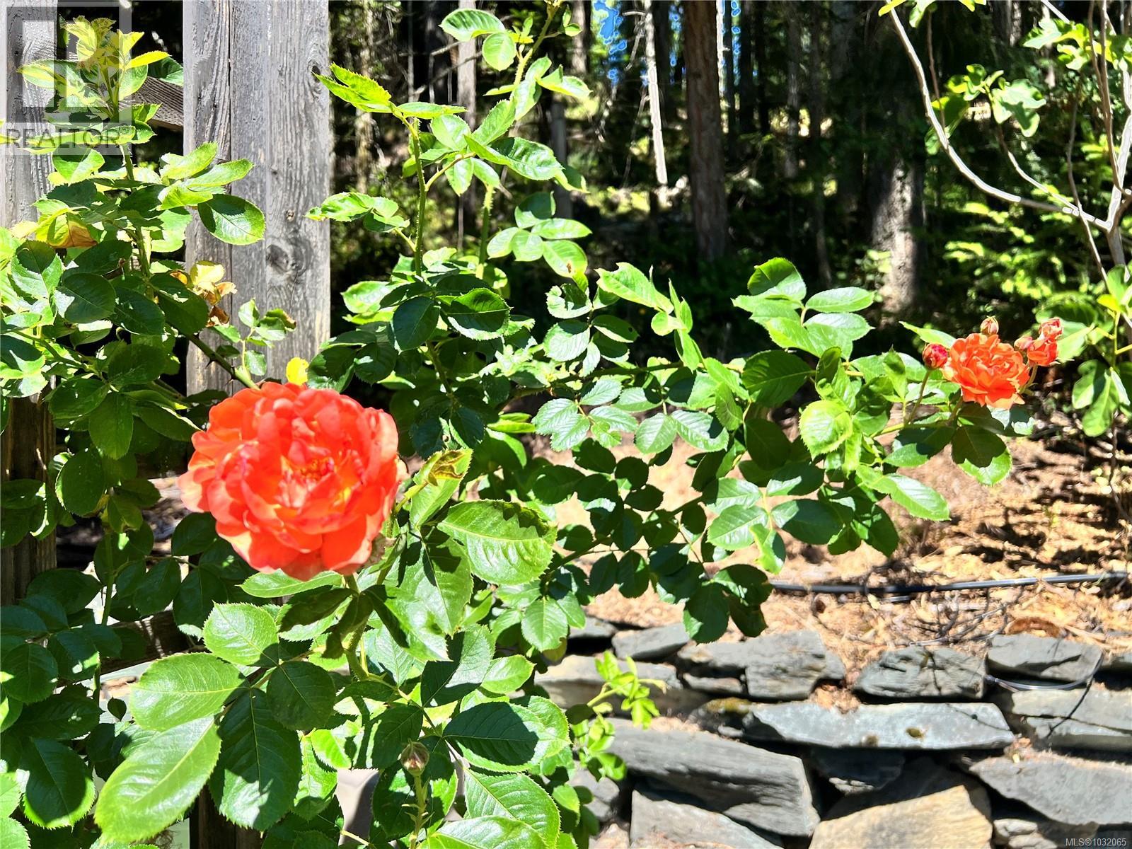 178 Elizabeth Dr, Salt Spring, British Columbia  V8K 1H8 - Photo 37 - 1032065