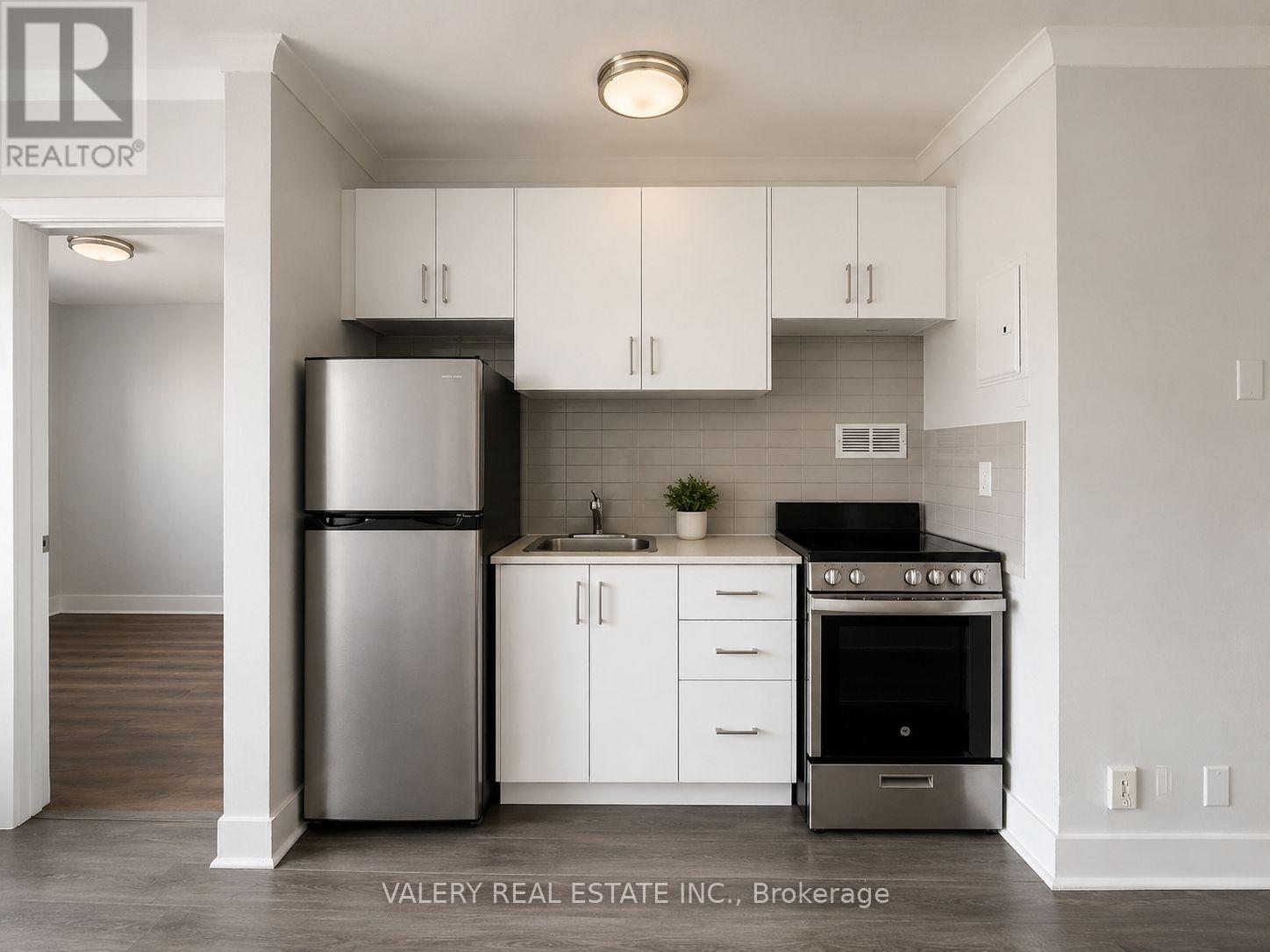 209 - 50 Selkirk Street, Ottawa, Ontario  K1L 6M9 - Photo 4 - X13463584
