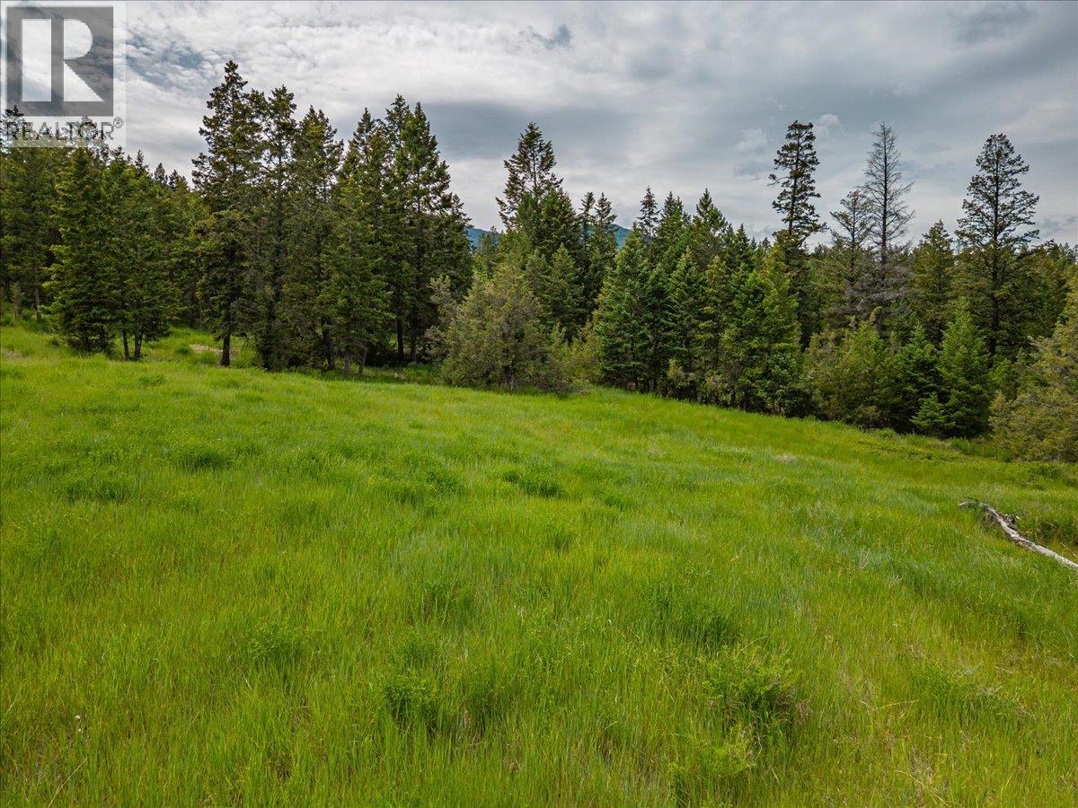Bella Vista Boulevard Lot# 14, Fairmont Hot Springs, British Columbia  V0B 1L2 - Photo 7 - 10390343