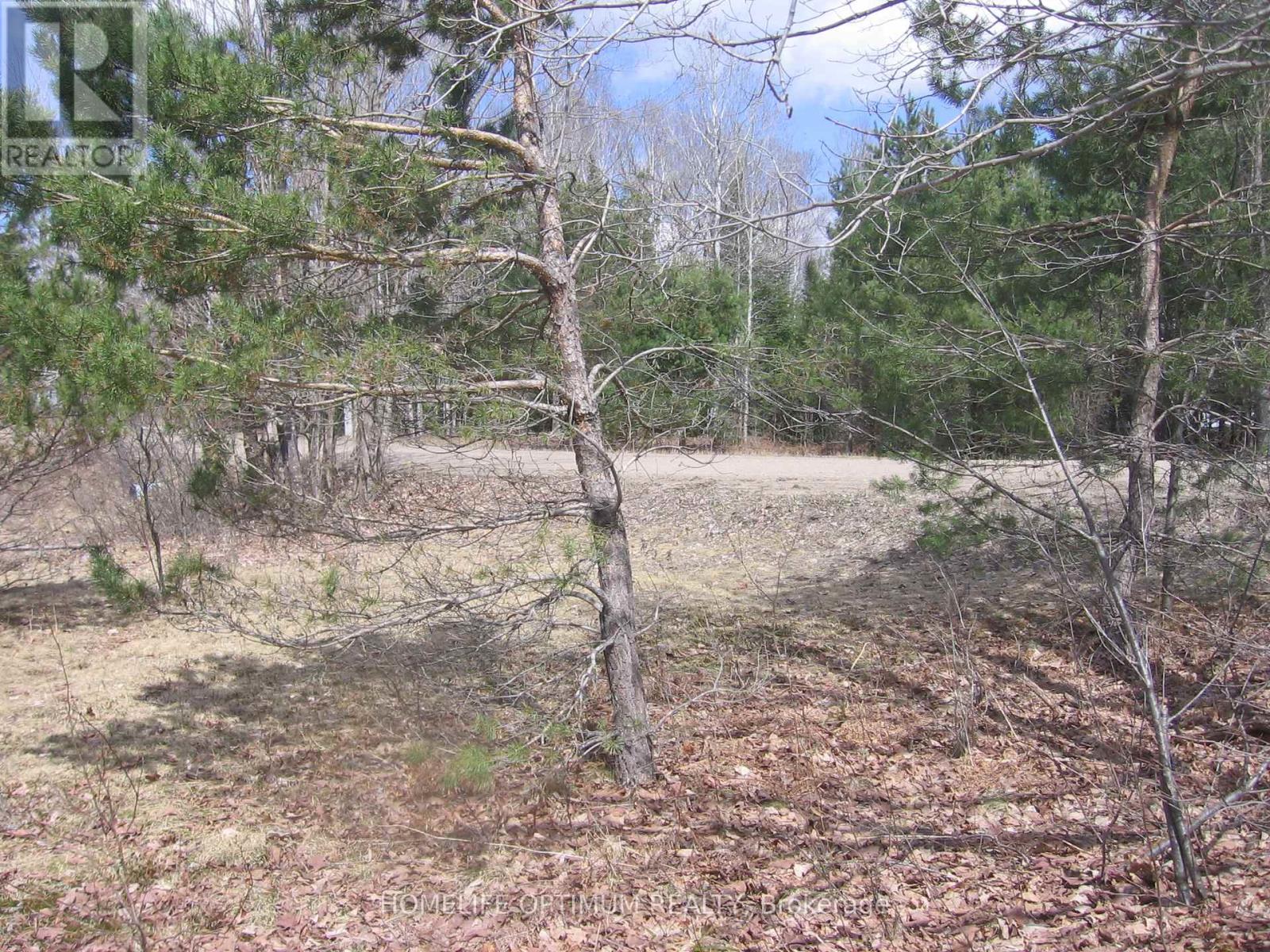 2.6 Acres Norley Drive, Algonquin Highlands, Ontario  K0M 1S0 - Photo 3 - X12913872