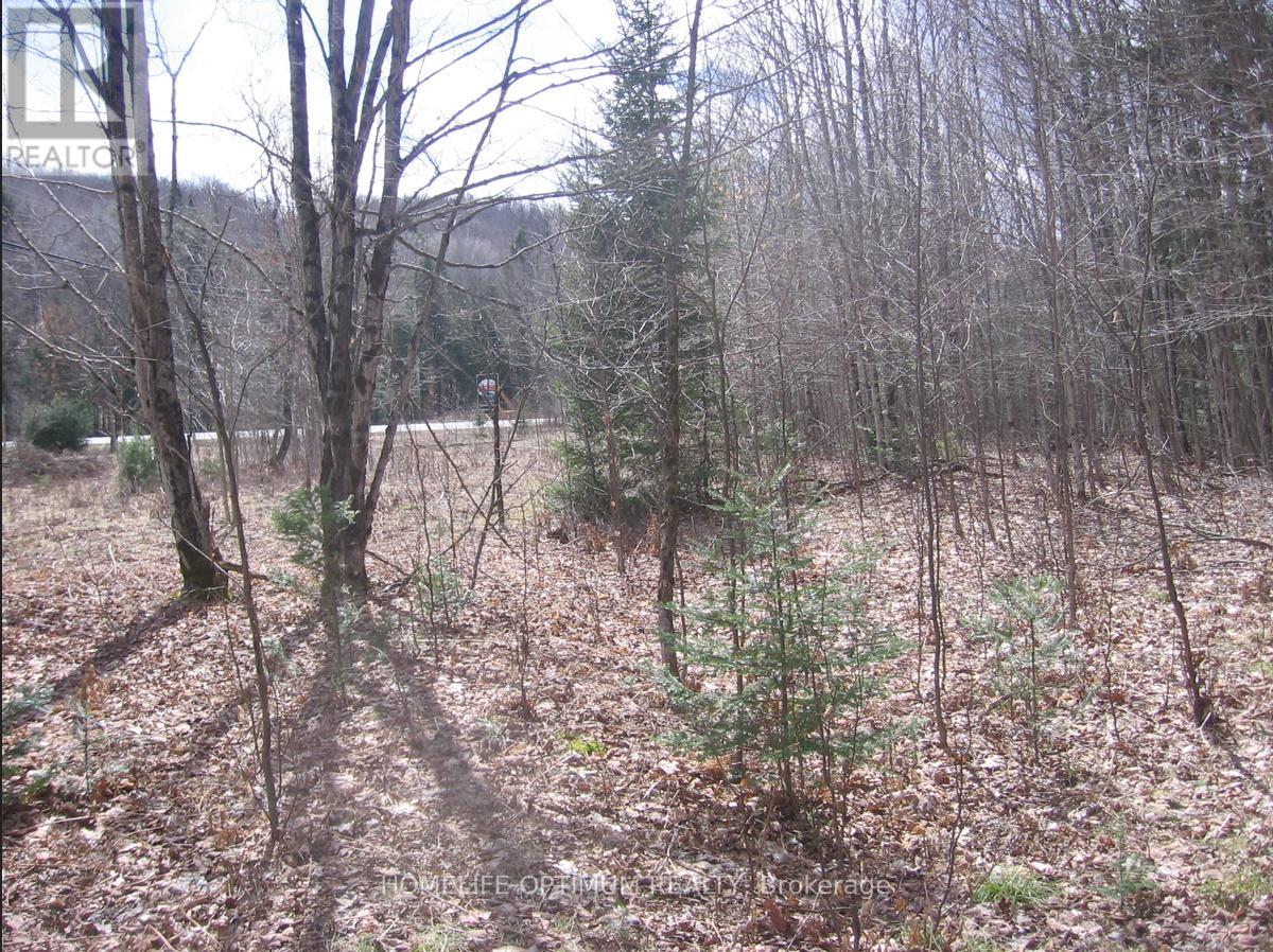 2.6 Acres Norley Drive, Algonquin Highlands, Ontario  K0M 1S0 - Photo 7 - X12913872
