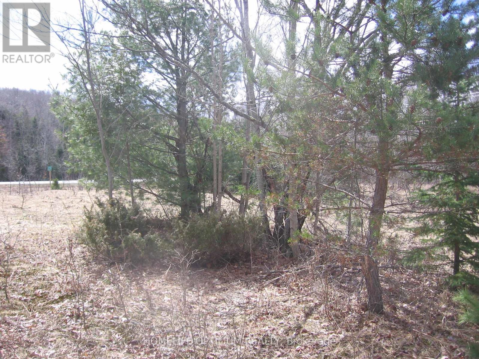 2.6 Acres Norley Drive, Algonquin Highlands, Ontario  K0M 1S0 - Photo 4 - X12913872