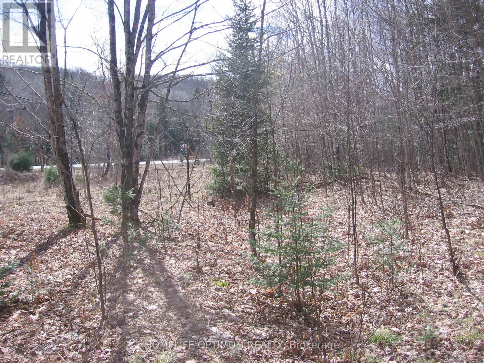 2.6 Acres Norley Drive, Algonquin Highlands, Ontario  K0M 1S0 - Photo 6 - X12913872
