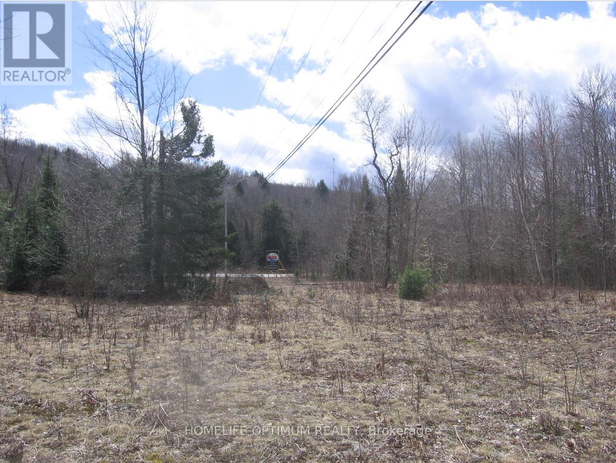 2.6 Acres Norley Drive, Algonquin Highlands, Ontario  K0M 1S0 - Photo 8 - X12913872