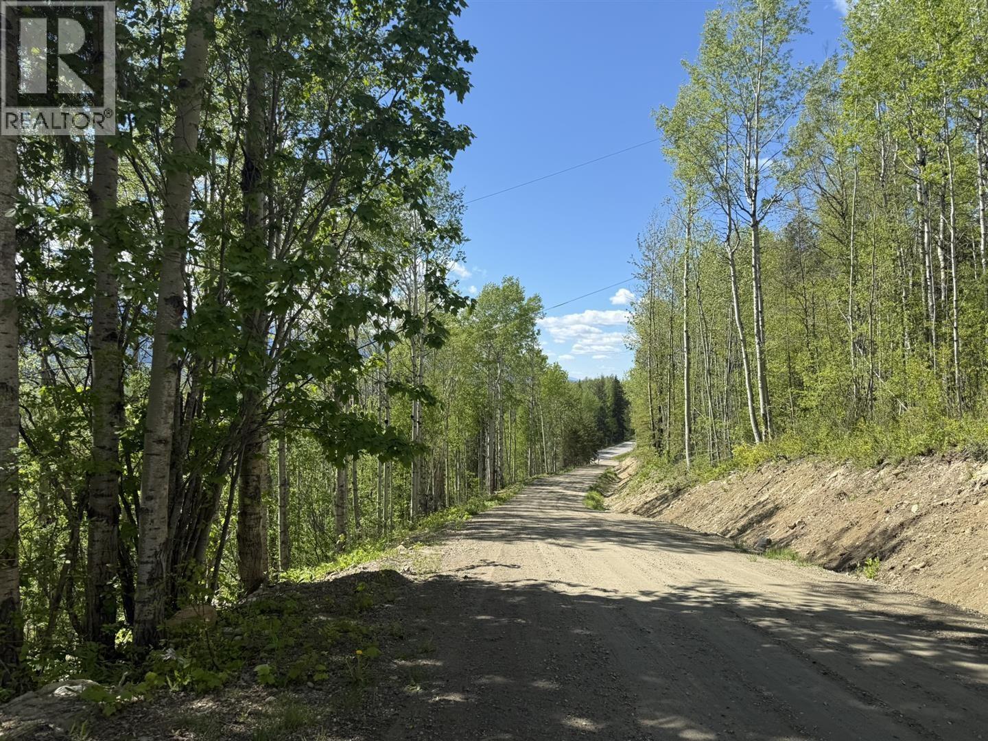 Lot 1 Mountain View Road, Mcbride, British Columbia  V0J 2E0 - Photo 12 - R3137625