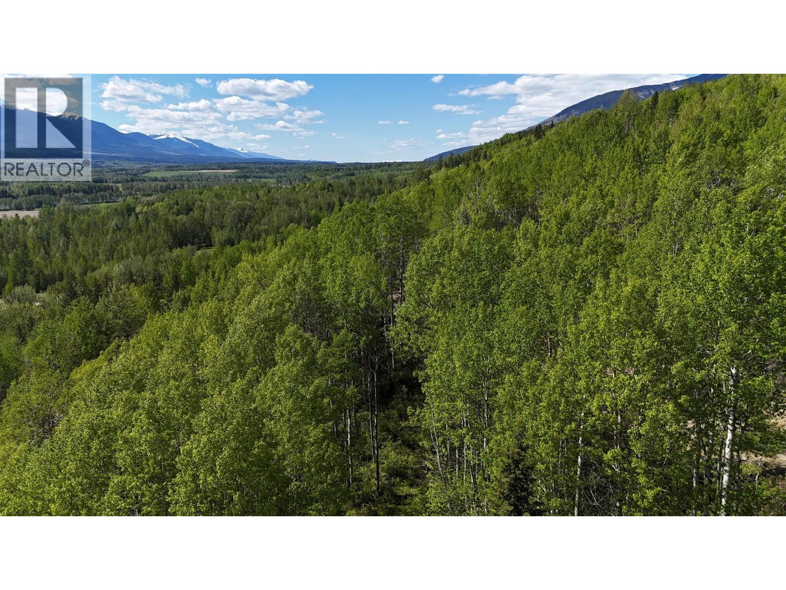 Lot 1 Mountain View Road, Mcbride, British Columbia  V0J 2E0 - Photo 13 - R3137625