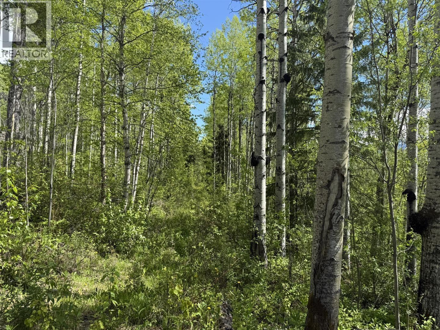 Lot 1 Mountain View Road, Mcbride, British Columbia  V0J 2E0 - Photo 14 - R3137625