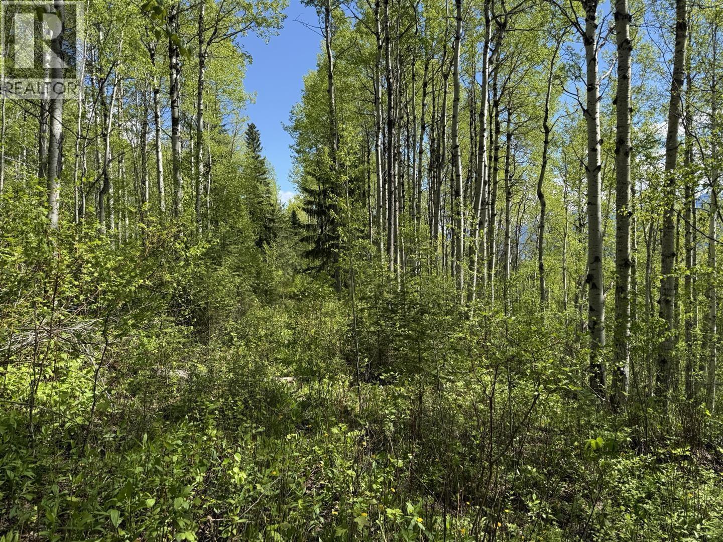 Lot 1 Mountain View Road, Mcbride, British Columbia  V0J 2E0 - Photo 15 - R3137625