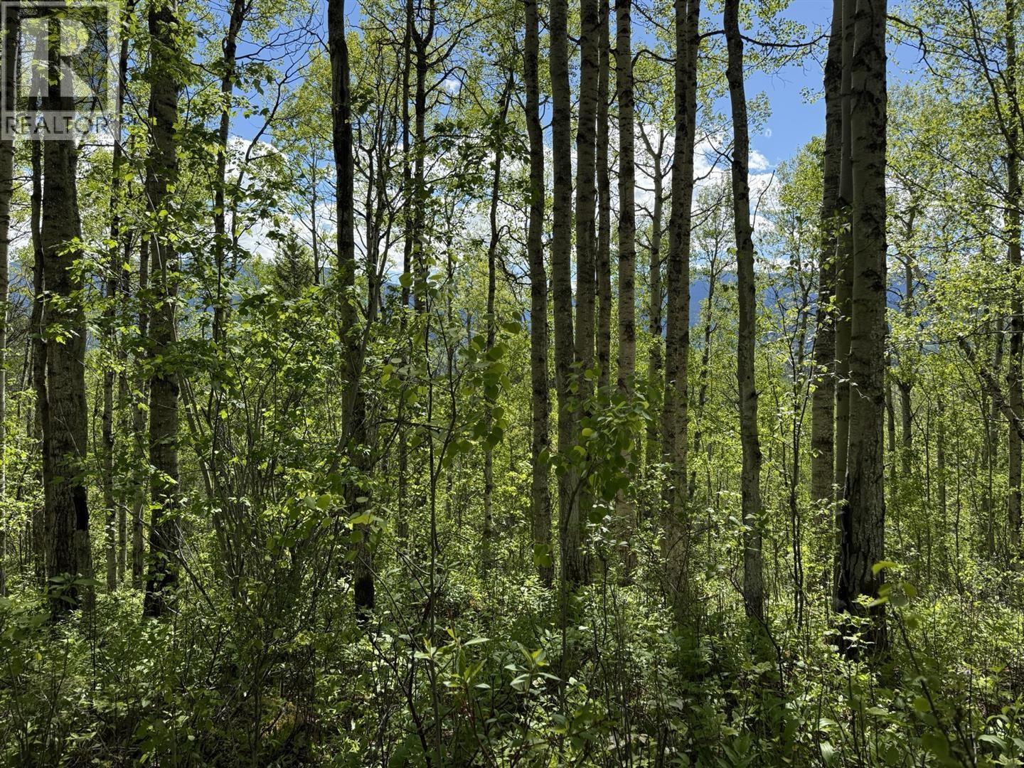 Lot 1 Mountain View Road, Mcbride, British Columbia  V0J 2E0 - Photo 17 - R3137625