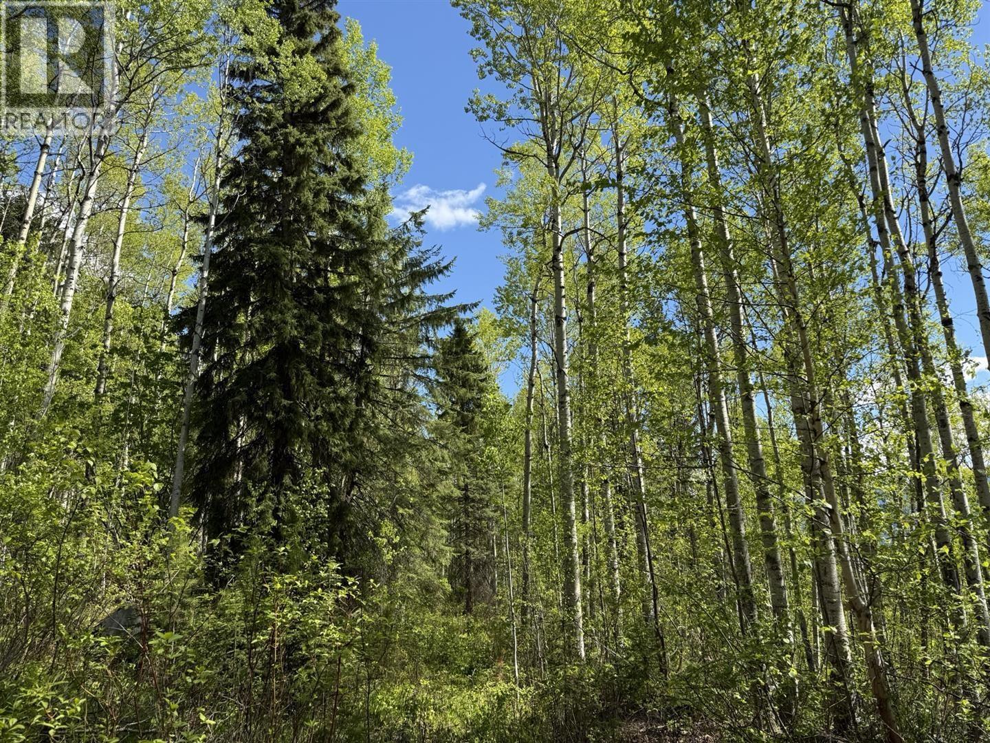 Lot 1 Mountain View Road, Mcbride, British Columbia  V0J 2E0 - Photo 19 - R3137625