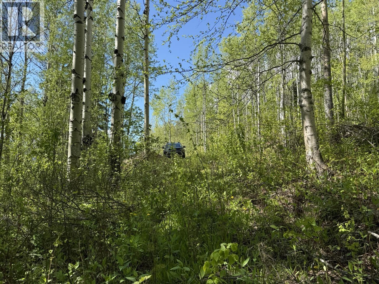 Lot 1 Mountain View Road, Mcbride, British Columbia  V0J 2E0 - Photo 20 - R3137625