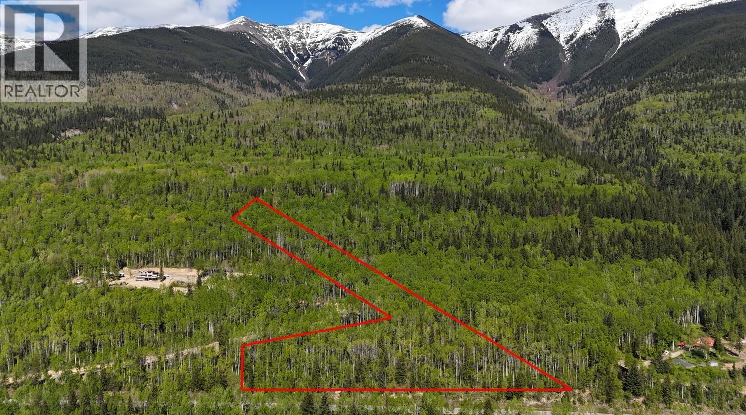 Lot 1 Mountain View Road, Mcbride, British Columbia  V0J 2E0 - Photo 3 - R3137625