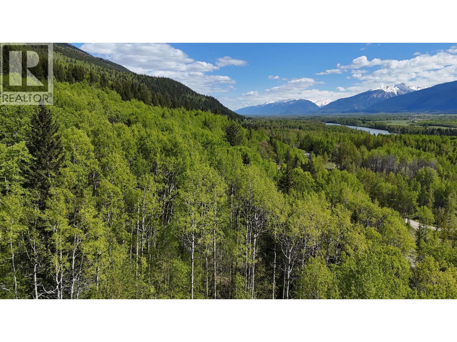 Lot 1 Mountain View Road, Mcbride, British Columbia  V0J 2E0 - Photo 8 - R3137625